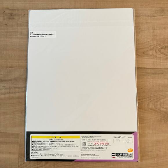 Spy x Family Mission Start Ichiban Kuji Prize Visual Art Sheet Clear File Poster - Picture 2 of 6